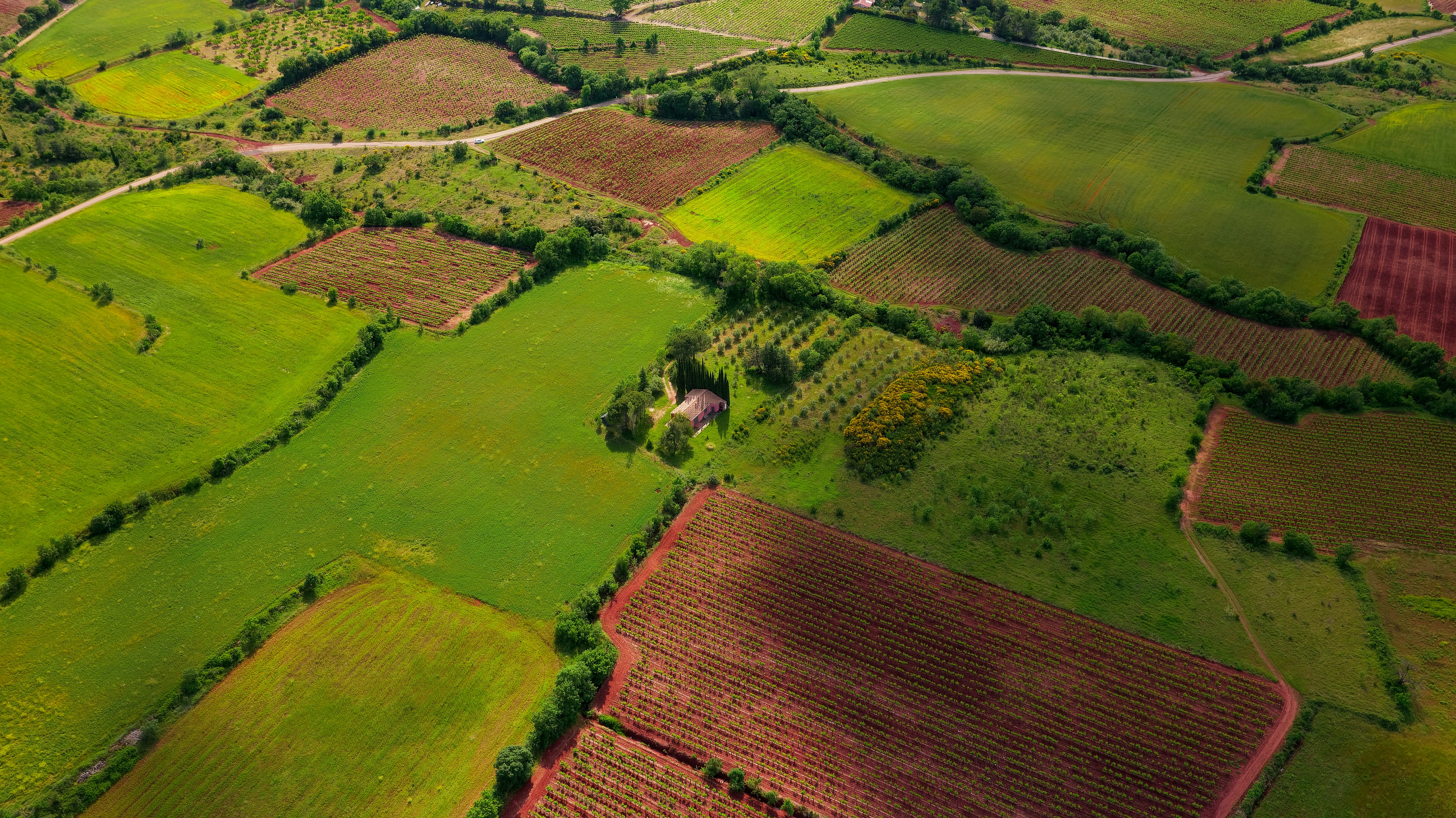 house-on-sale-Fish_Farm-Farmhouse_Address-Upper_Hill__Nairobi__Kenya_price-20000000_Beds-6_Baths-4110_7