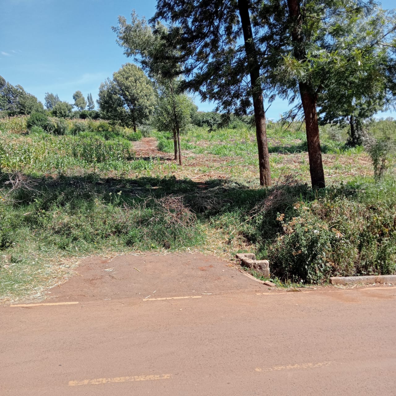 land-for-sale-Address-Limuru_Town___Kenya_price-12000000-29-1