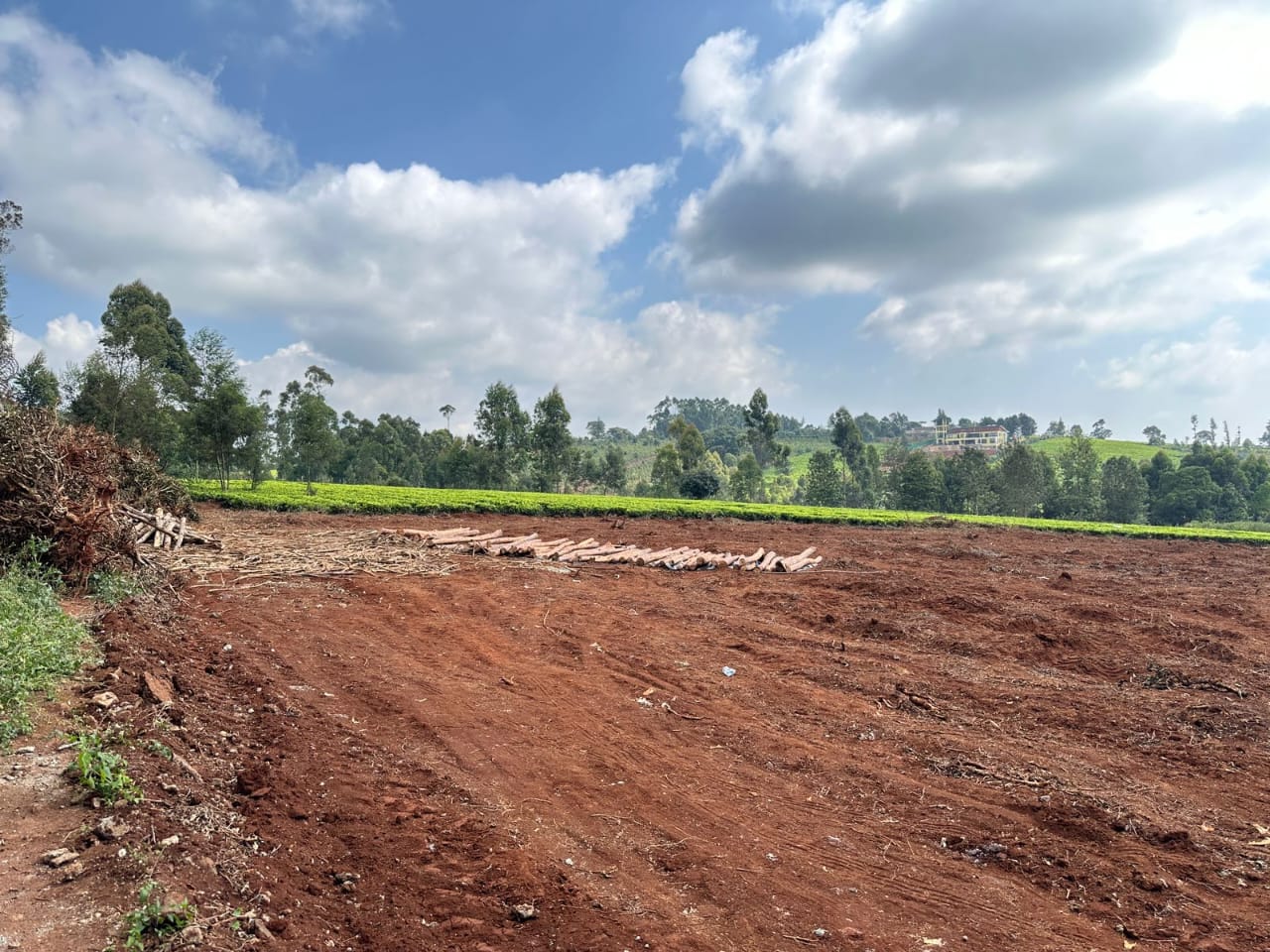 land-for-sale-Address-Tigoni__Kenya_price-23000000-28