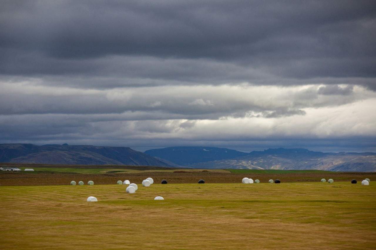 house-on-sale-Ken_Farm-Plantation_house_Address-Thika__Kenya_price-5000000_Beds-3_Baths-2000_2-1