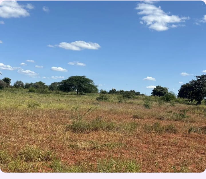 land-for-sale-Address-Masinga__Kenya_price-500000-22