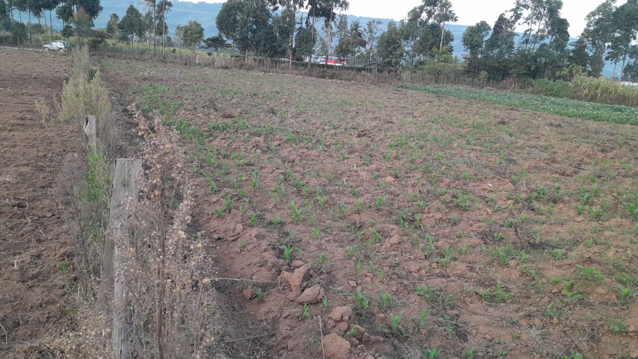 land-for-sale-Address-Naivasha__Kenya_price-1300000-25