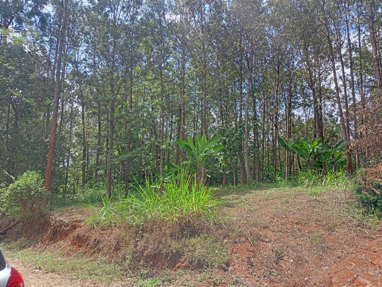 land-for-sale-Address-Meru__Kenya_price-6000000-19
