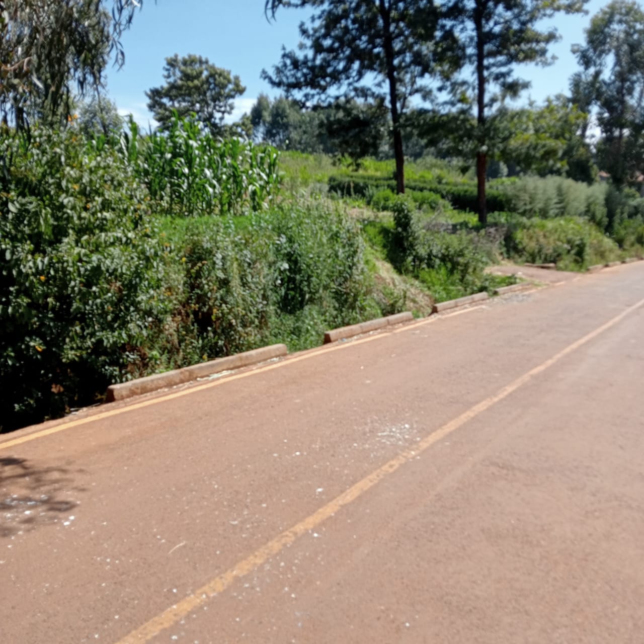 land-for-sale-Address-Limuru_Town___Kenya_price-12000000-29