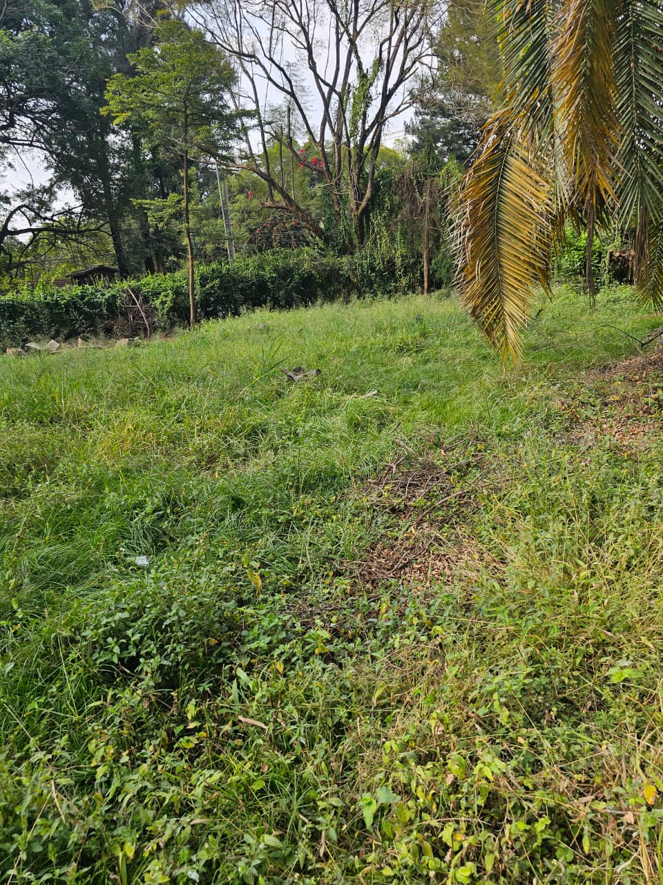 land-for-sale-Address-Kilimani__Nairobi__Kenya_price-270000000-31