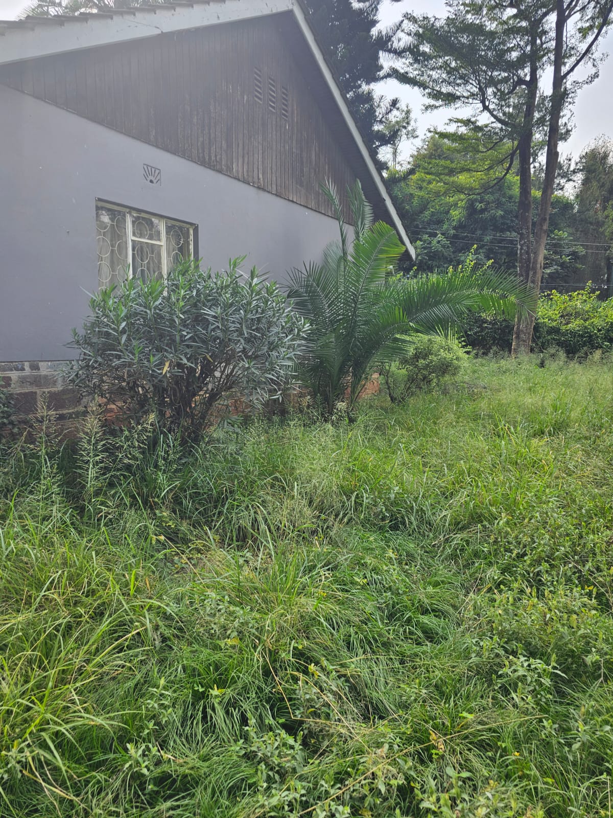 land-for-sale-Address-Kilimani__Nairobi__Kenya_price-270000000-31-1