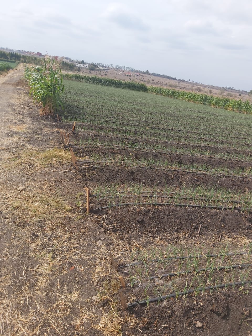 land-for-sale-Address-Kisaju__Kenya_price-150000000-35-1