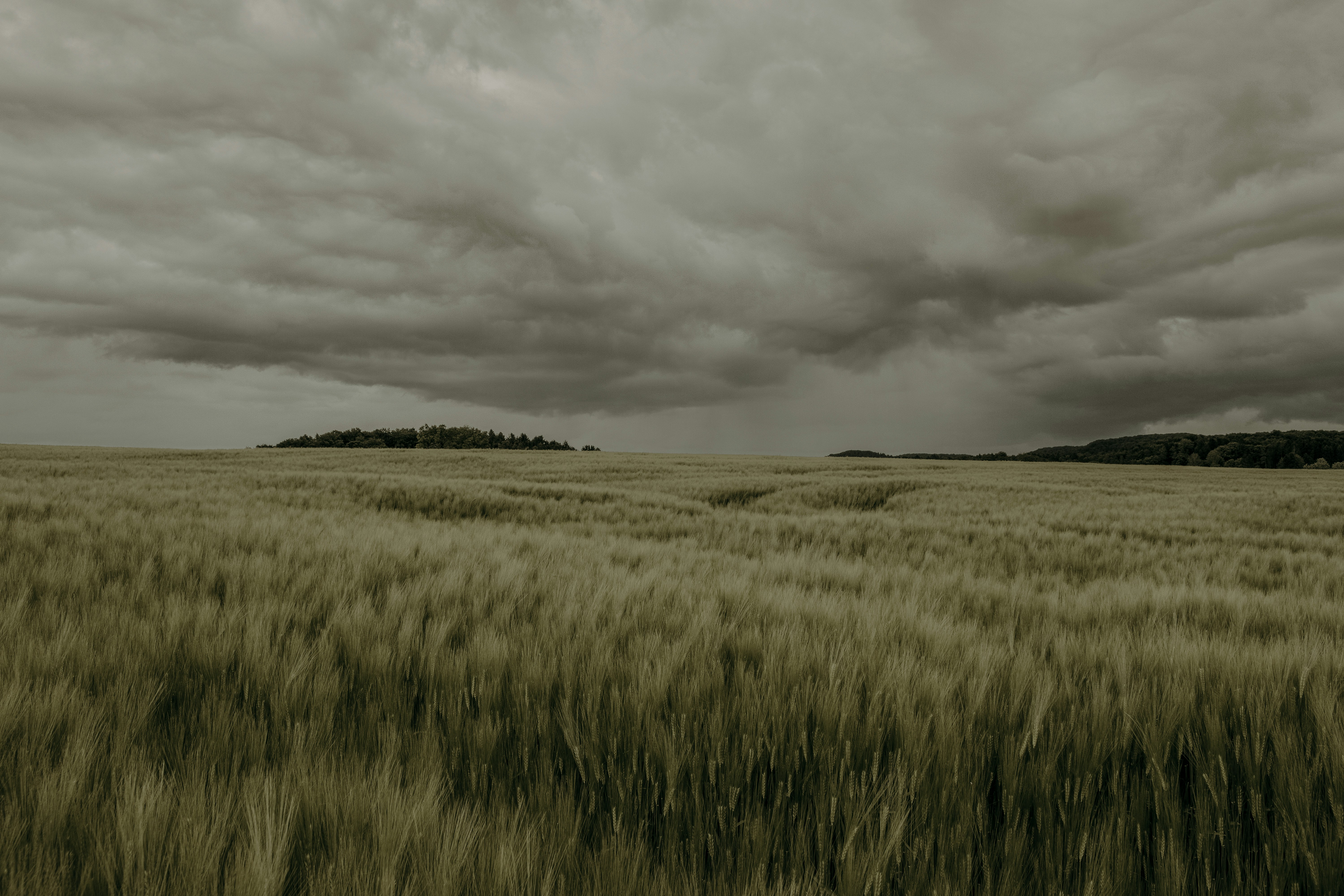 land-for-sale-Address-Ngong__Kenya_price-28000000-7