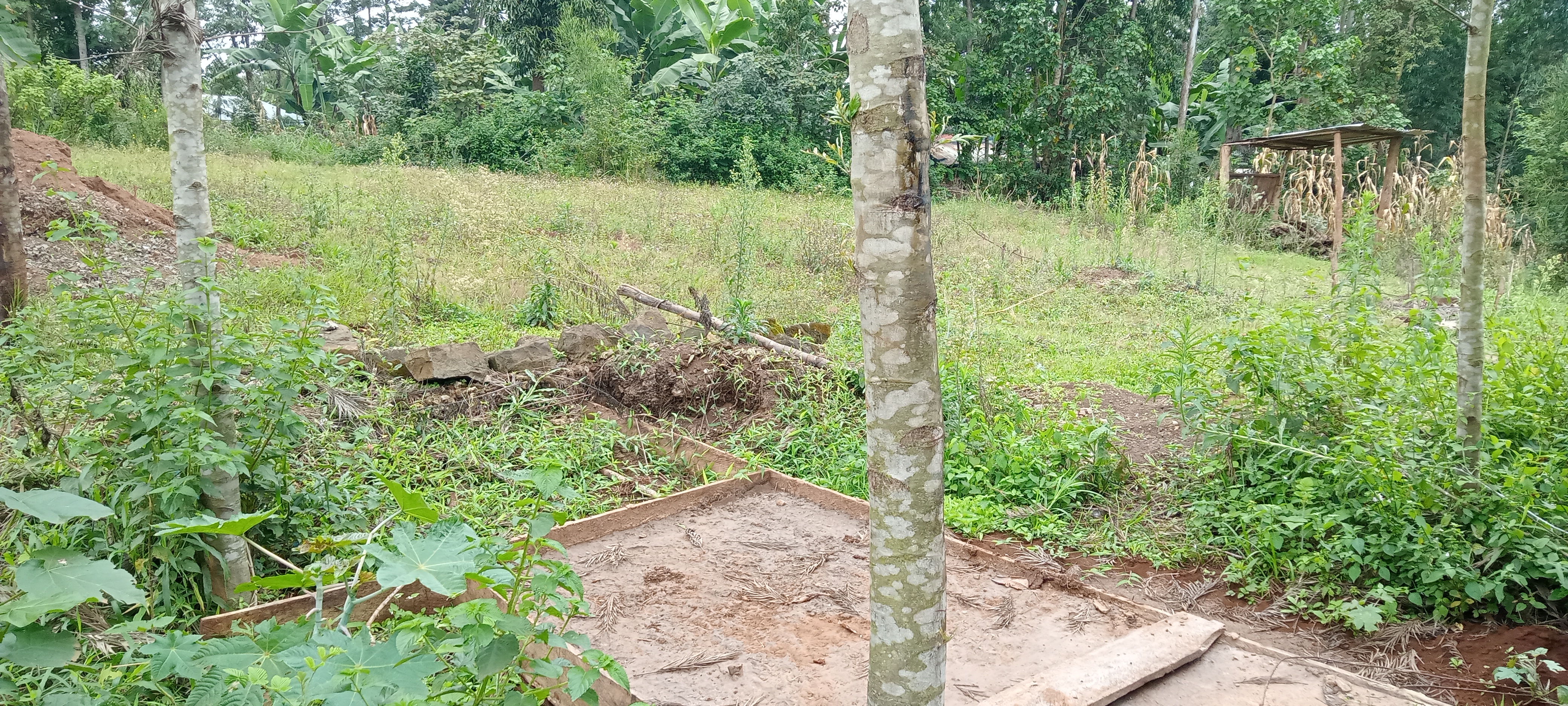 land-for-sale-Address-Muthithi__Kenya_price-1300000-20