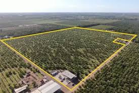 land-for-sale-Address-Thika_Municipality__Kenya_price-27000000-15